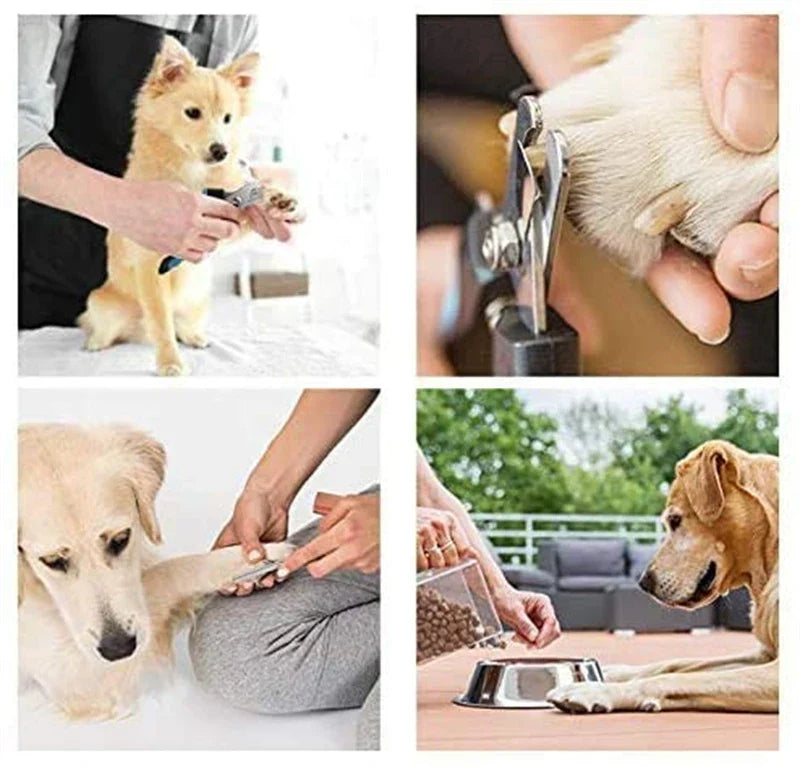 Professional Pet Nail Clipper with Safety Guard – Stainless Steel Scissors for Dog & Cat Claw Care, Grooming Supplies